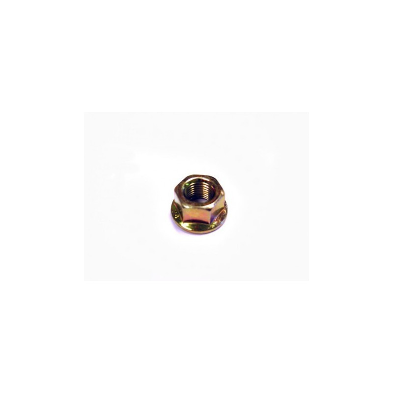 TORNILLO ESPECIAL (NUT BF SW15 WITH FLANGE)
