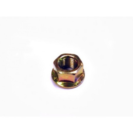 TORNILLO ESPECIAL (NUT BF SW15 WITH FLANGE)
