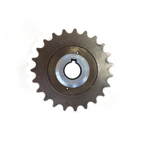 Piñon freewheel 23 T Gran Tour